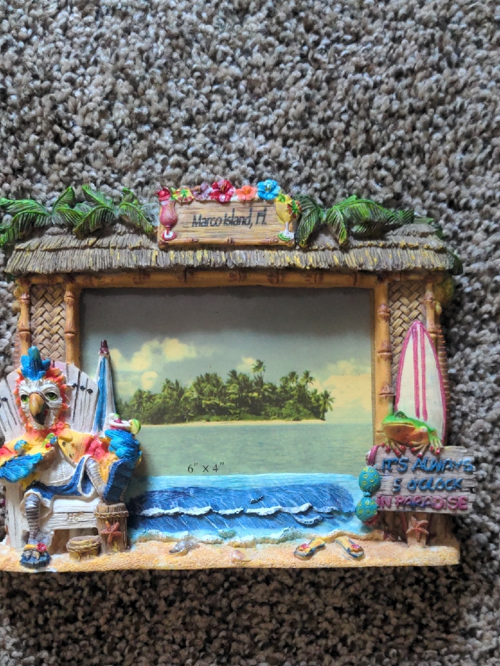 Marco Island Florida Tropical Photo Frame Colorful Beach Parrot Surfboard Water